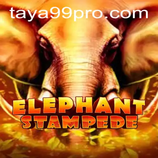 Discovering ElephantStampede: A Thrilling Adventure of Strategy and Excitement